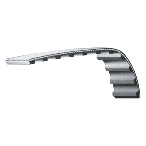 Cinghia Dentata a metraggio in poliuretano T10 16mm 3MT